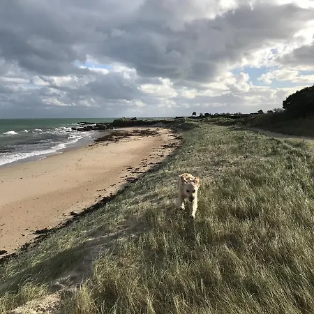 Bed & Breakfast Fleur & 3*