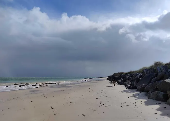 Fleur & 3* Montfarville